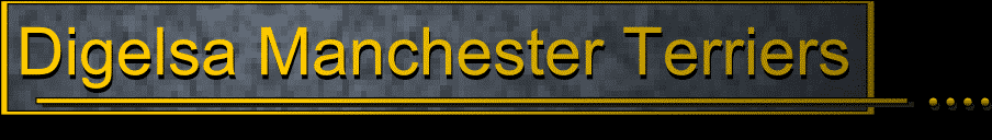 Digelsa Manchester Terrier Banner